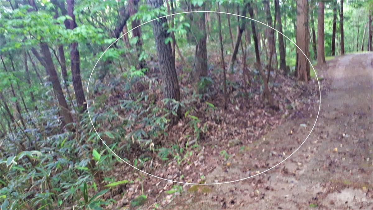 f:id:OSAKA-TOM:20200527112442j:plain f:id:OSAKA-TOM:20200527112442j:plain