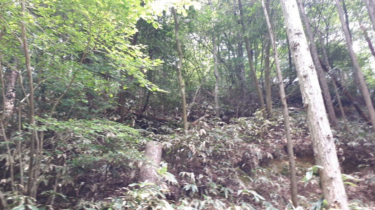 f:id:OSAKA-TOM:20200527132632j:plain f:id:OSAKA-TOM:20200527132632j:plain