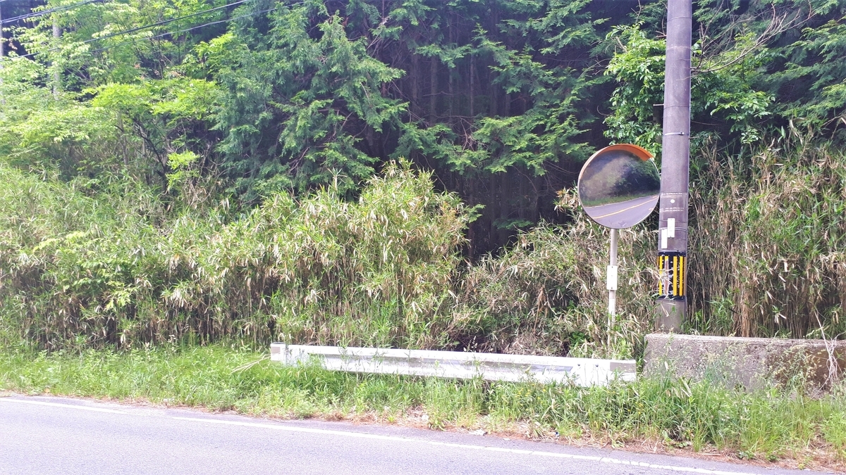 f:id:OSAKA-TOM:20200527140903j:plain f:id:OSAKA-TOM:20200527140903j:plain