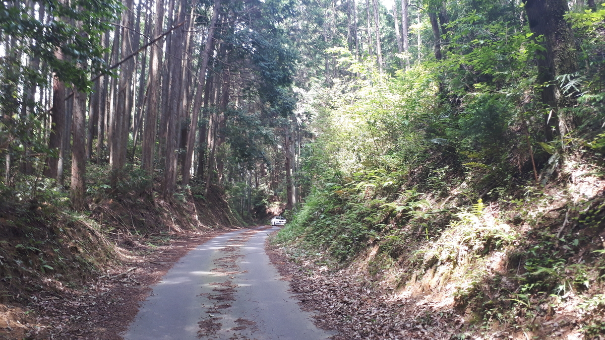 f:id:OSAKA-TOM:20200613141100j:plain f:id:OSAKA-TOM:20200613141100j:plain