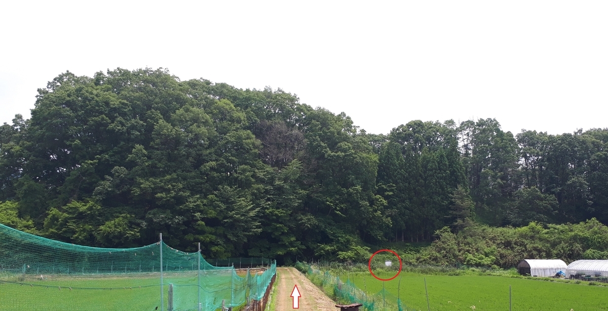 f:id:OSAKA-TOM:20200615084507j:plain f:id:OSAKA-TOM:20200615084507j:plain