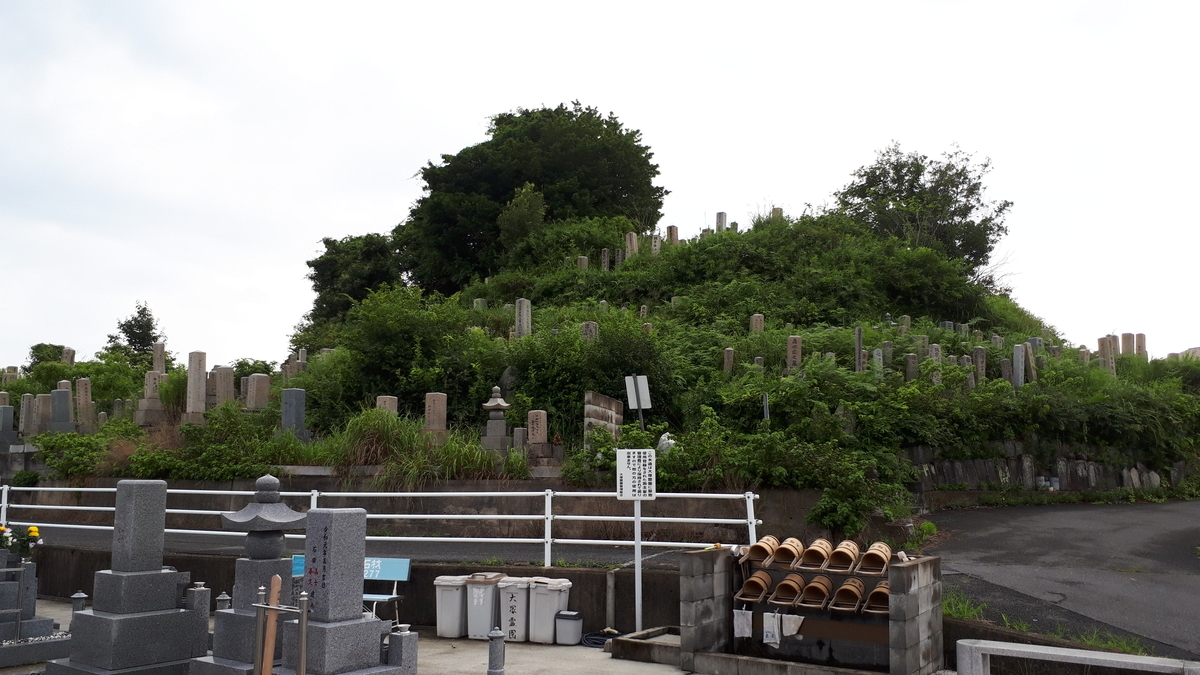 f:id:OSAKA-TOM:20200619122134j:plain f:id:OSAKA-TOM:20200619122134j:plain