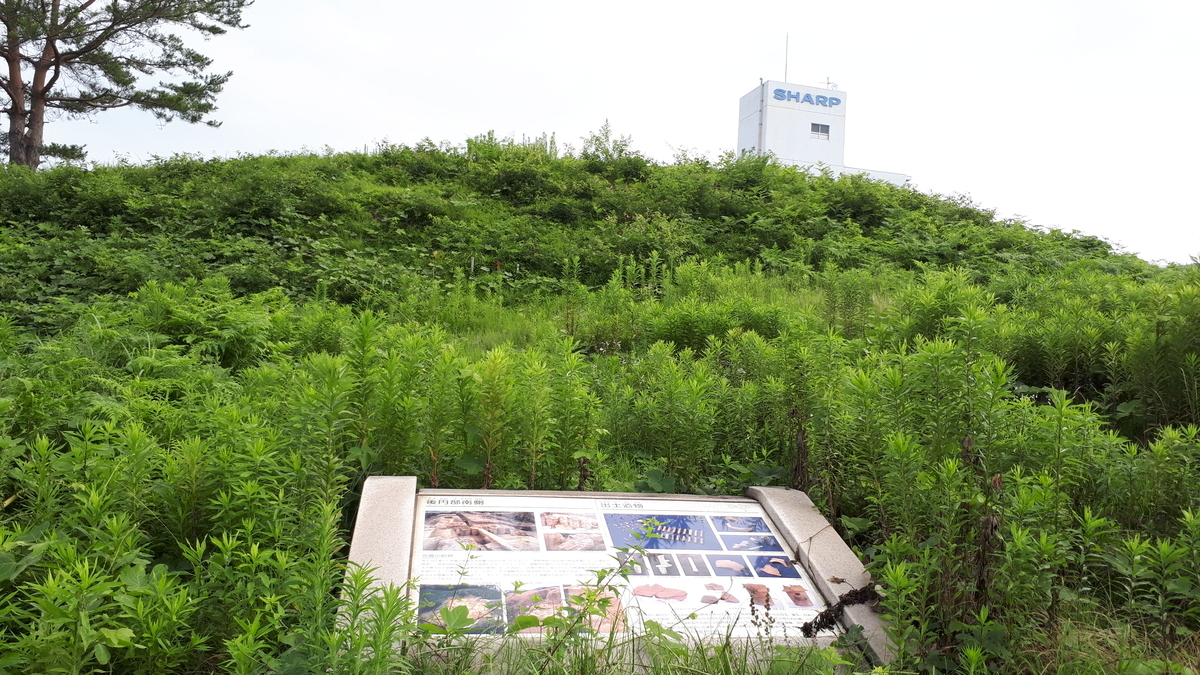 f:id:OSAKA-TOM:20200619131734j:plain f:id:OSAKA-TOM:20200619131734j:plain