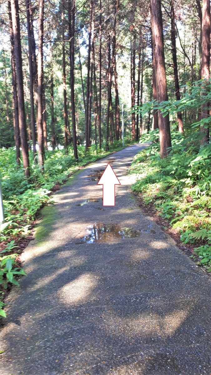 f:id:OSAKA-TOM:20200619135229j:plain f:id:OSAKA-TOM:20200619135229j:plain