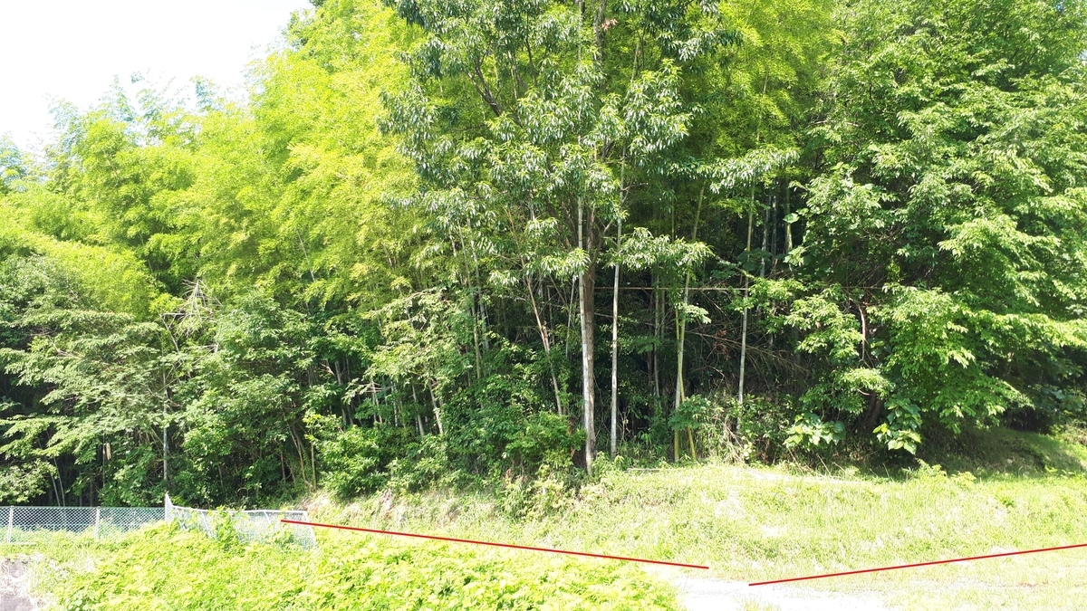 f:id:OSAKA-TOM:20200619135622j:plain f:id:OSAKA-TOM:20200619135622j:plain