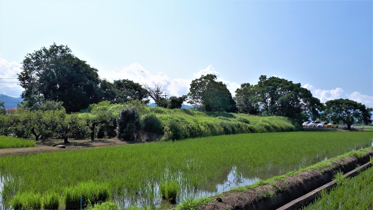 f:id:OSAKA-TOM:20200619152310j:plain f:id:OSAKA-TOM:20200619152310j:plain