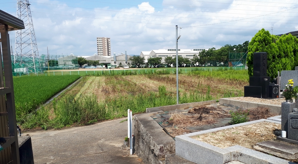 f:id:OSAKA-TOM:20200619153215j:plain f:id:OSAKA-TOM:20200619153215j:plain