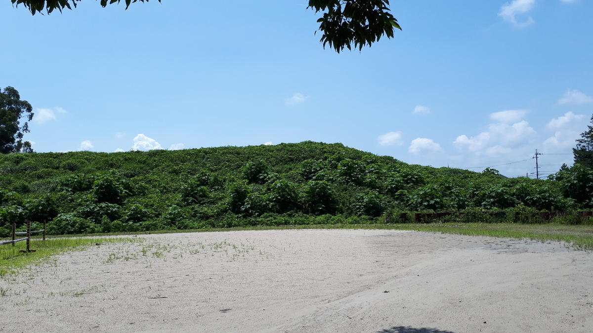 f:id:OSAKA-TOM:20200619165328j:plain f:id:OSAKA-TOM:20200619165328j:plain