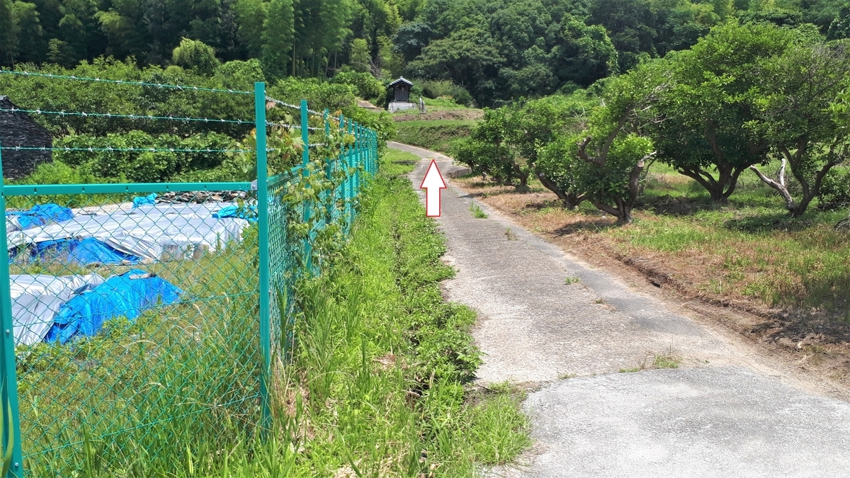 f:id:OSAKA-TOM:20200619202312j:plain f:id:OSAKA-TOM:20200619202312j:plain