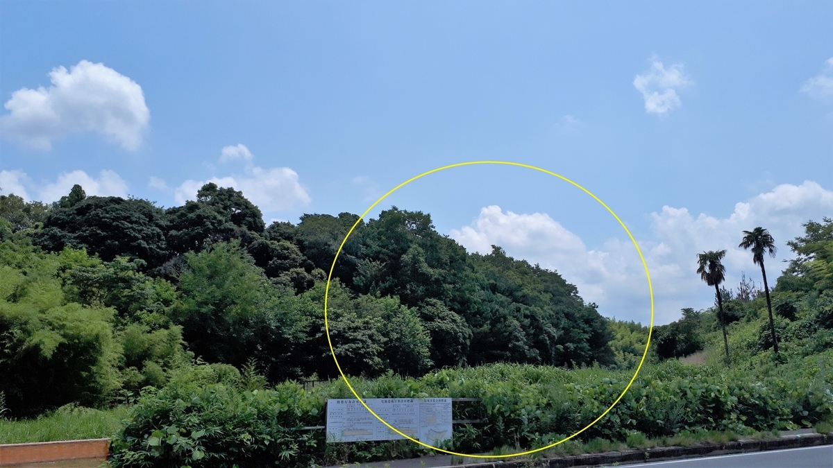 f:id:OSAKA-TOM:20200619204525j:plain f:id:OSAKA-TOM:20200619204525j:plain