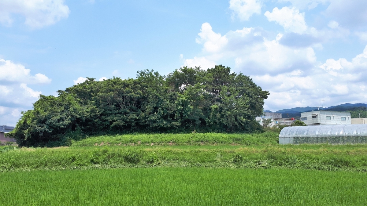 f:id:OSAKA-TOM:20200619204833j:plain f:id:OSAKA-TOM:20200619204833j:plain