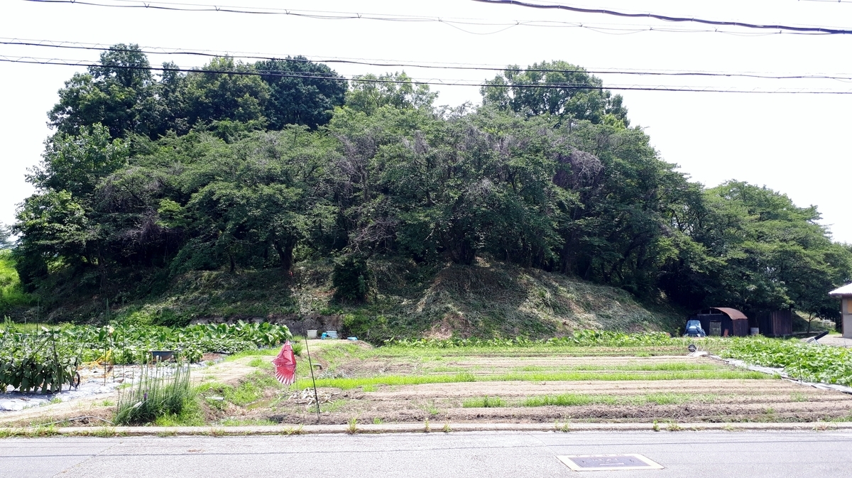 f:id:OSAKA-TOM:20200619205302j:plain f:id:OSAKA-TOM:20200619205302j:plain