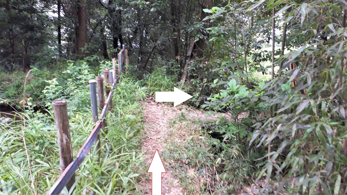f:id:OSAKA-TOM:20200805180126j:plain f:id:OSAKA-TOM:20200805180126j:plain