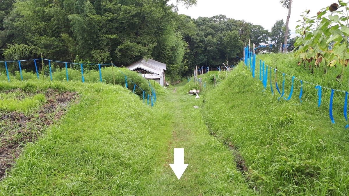 f:id:OSAKA-TOM:20200805180236j:plain f:id:OSAKA-TOM:20200805180236j:plain