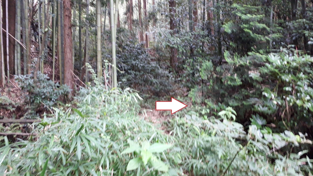 f:id:OSAKA-TOM:20200805180943j:plain f:id:OSAKA-TOM:20200805180943j:plain