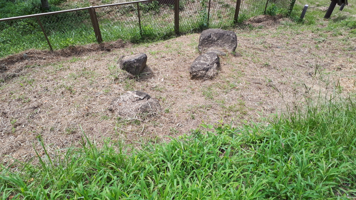 f:id:OSAKA-TOM:20200809104538j:plain f:id:OSAKA-TOM:20200809104538j:plain