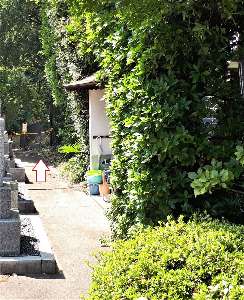 f:id:OSAKA-TOM:20200811144923j:plain f:id:OSAKA-TOM:20200811144923j:plain