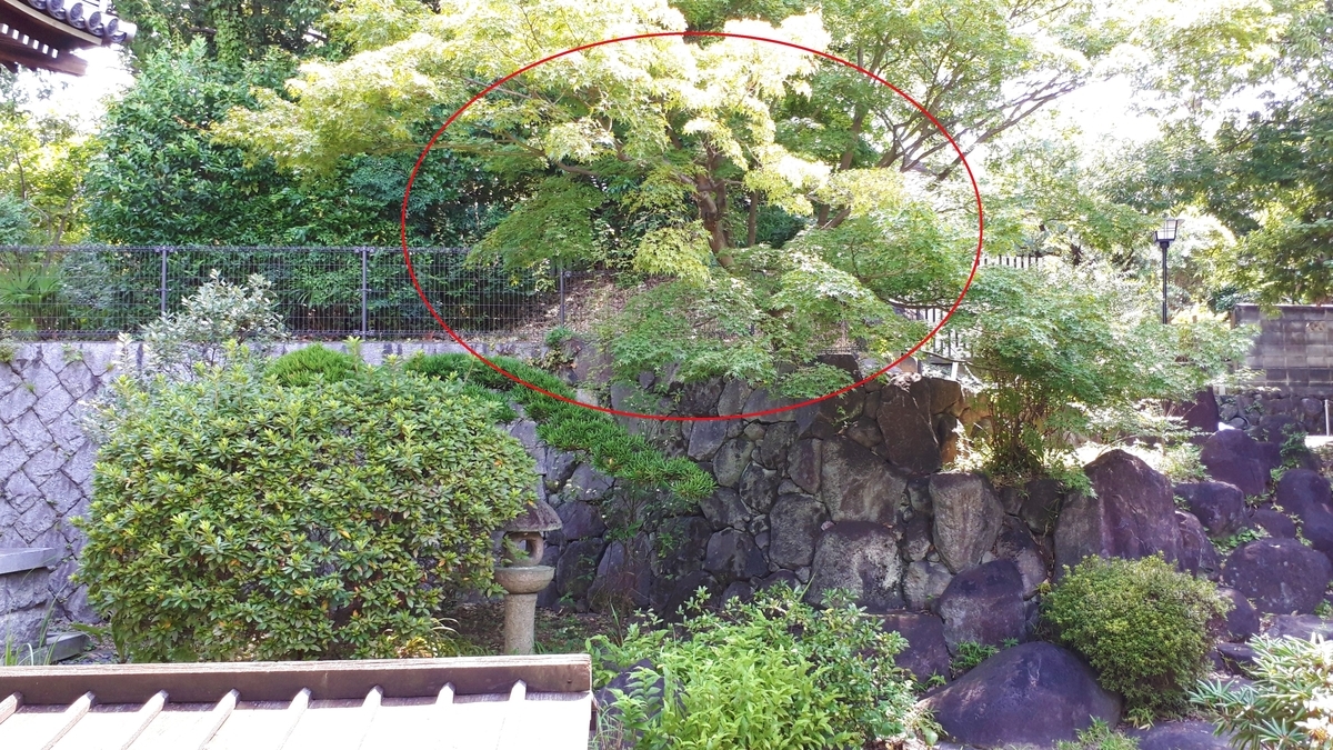 f:id:OSAKA-TOM:20200811145444j:plain f:id:OSAKA-TOM:20200811145444j:plain