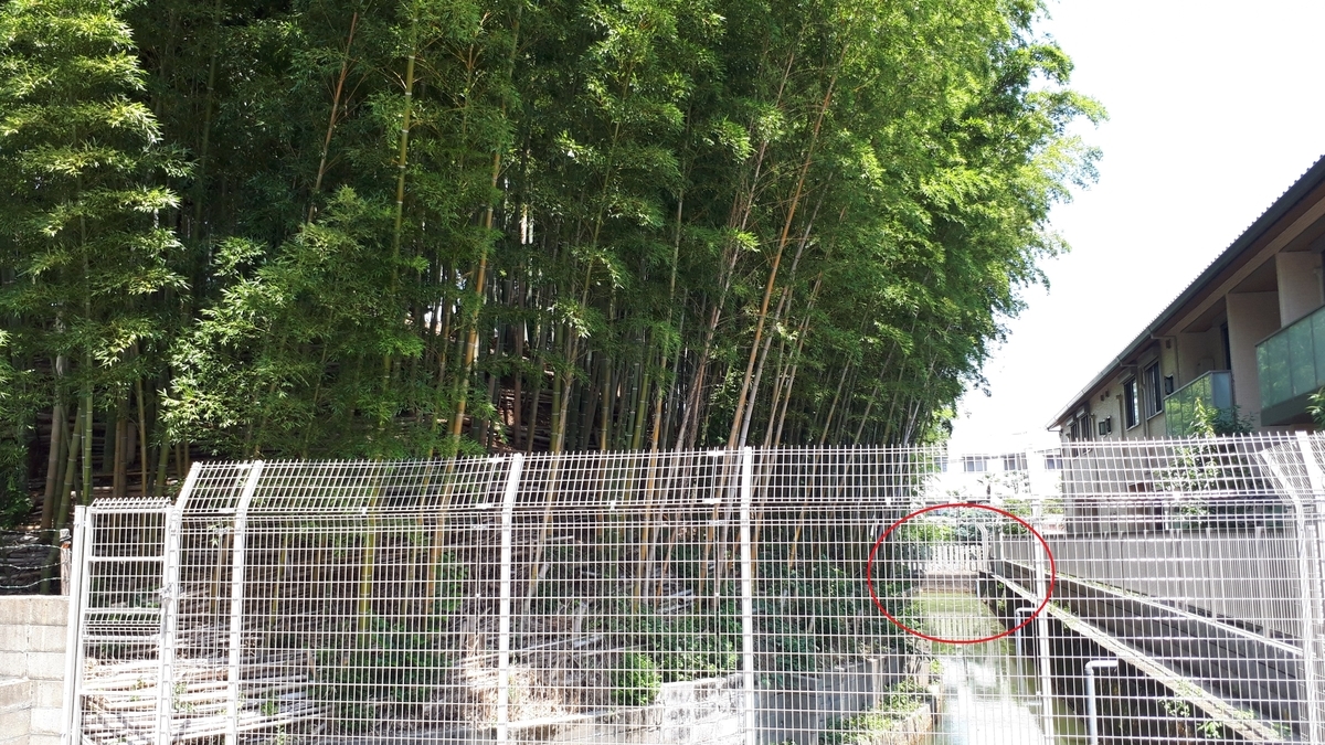 f:id:OSAKA-TOM:20200811152402j:plain f:id:OSAKA-TOM:20200811152402j:plain