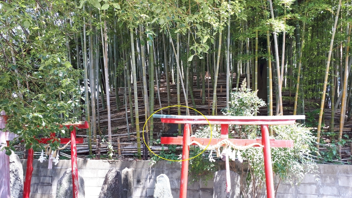 f:id:OSAKA-TOM:20200811152443j:plain f:id:OSAKA-TOM:20200811152443j:plain
