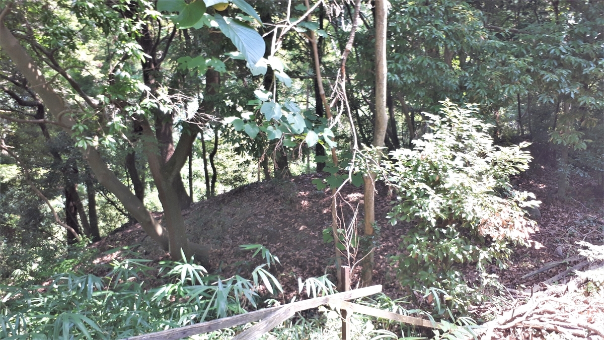 f:id:OSAKA-TOM:20200811160241j:plain f:id:OSAKA-TOM:20200811160241j:plain