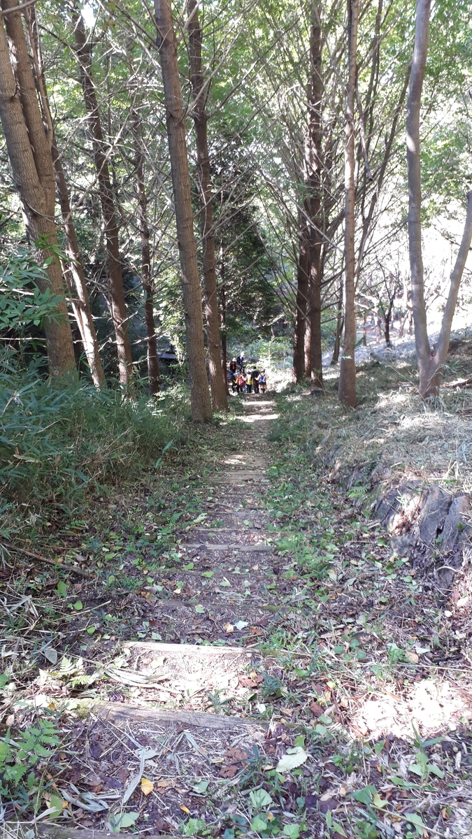 f:id:OSAKA-TOM:20201028110047j:plain f:id:OSAKA-TOM:20201028110047j:plain