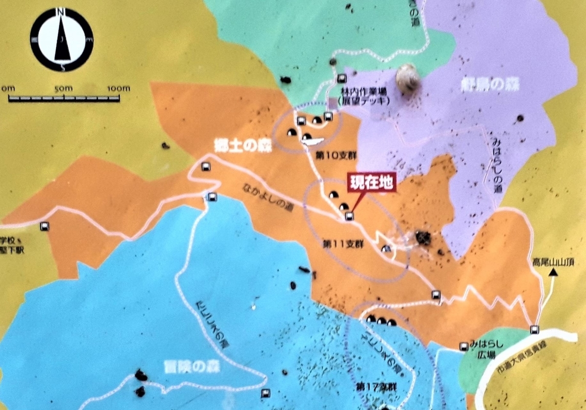 f:id:OSAKA-TOM:20201028111111j:plain f:id:OSAKA-TOM:20201028111111j:plain