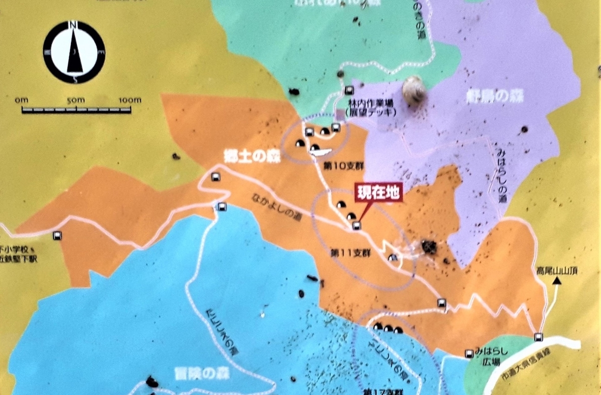 f:id:OSAKA-TOM:20201028114043j:plain f:id:OSAKA-TOM:20201028114043j:plain