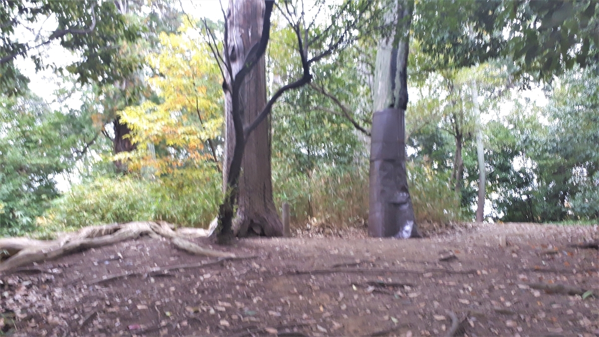 f:id:OSAKA-TOM:20201109085204j:plain f:id:OSAKA-TOM:20201109085204j:plain
