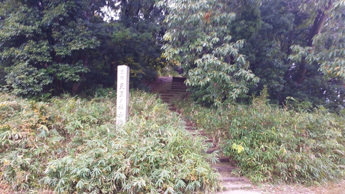 f:id:OSAKA-TOM:20201109085256j:plain f:id:OSAKA-TOM:20201109085256j:plain