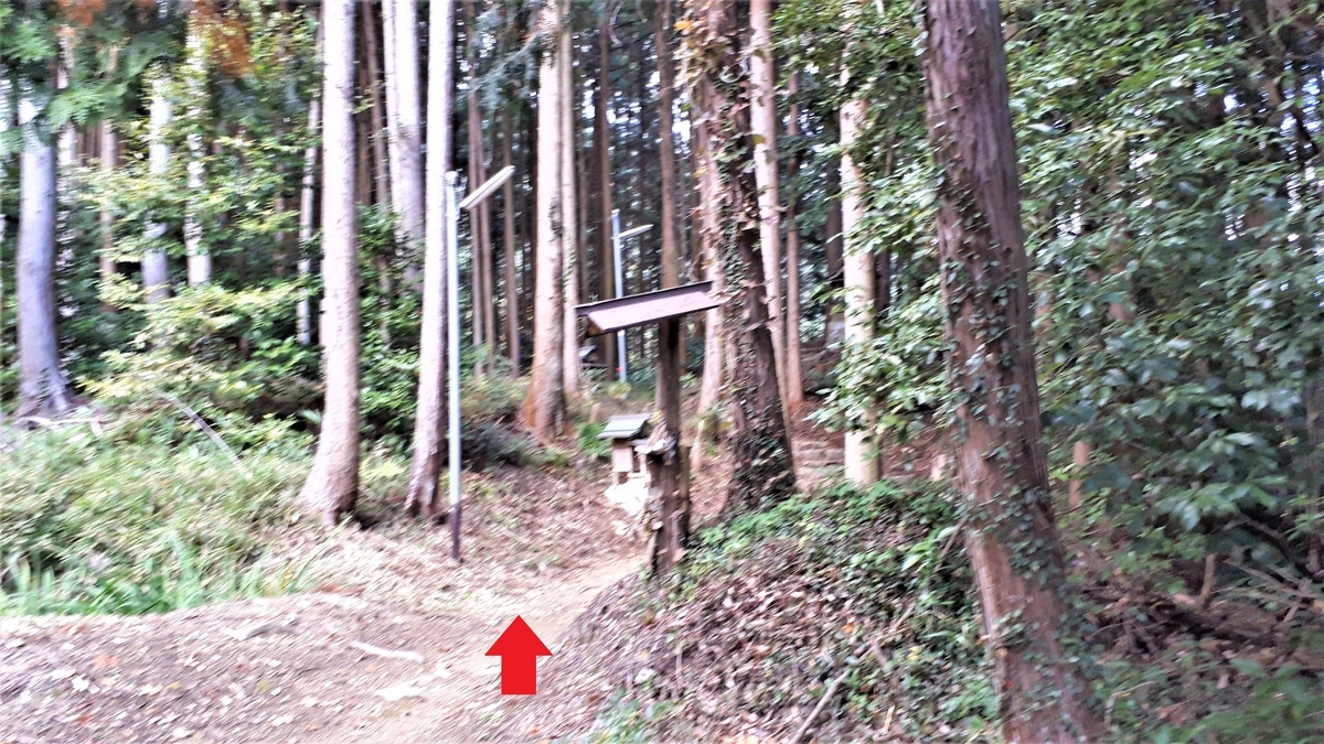 f:id:OSAKA-TOM:20201115073849j:plain f:id:OSAKA-TOM:20201115073849j:plain