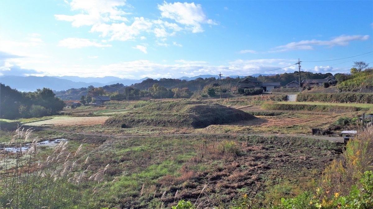 f:id:OSAKA-TOM:20201115083142j:plain f:id:OSAKA-TOM:20201115083142j:plain