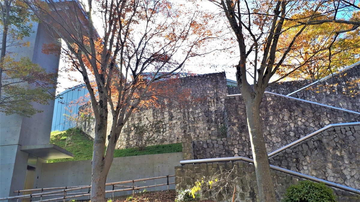 f:id:OSAKA-TOM:20201115084451j:plain f:id:OSAKA-TOM:20201115084451j:plain