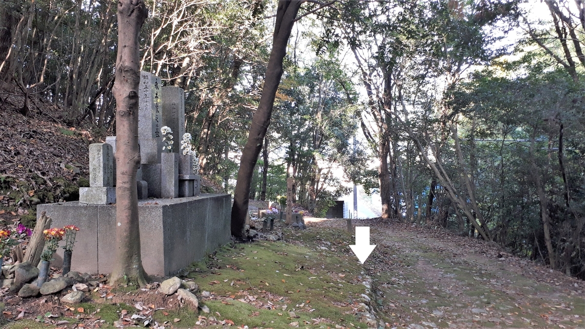 f:id:OSAKA-TOM:20201115091647j:plain f:id:OSAKA-TOM:20201115091647j:plain
