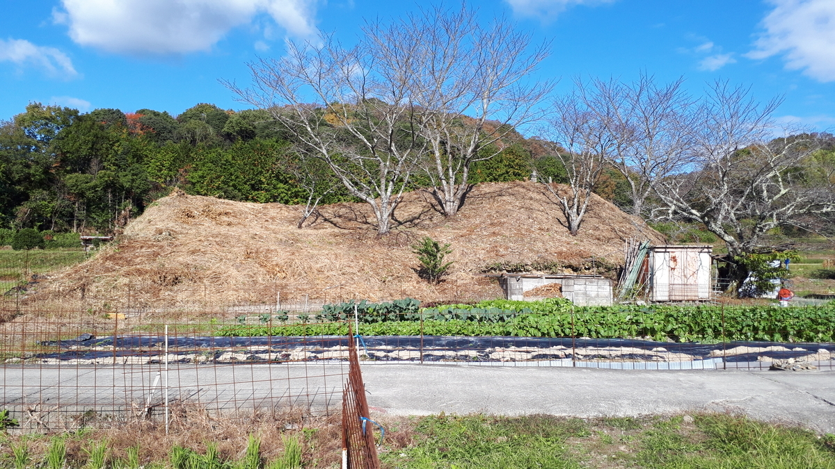 f:id:OSAKA-TOM:20201115110749j:plain f:id:OSAKA-TOM:20201115110749j:plain