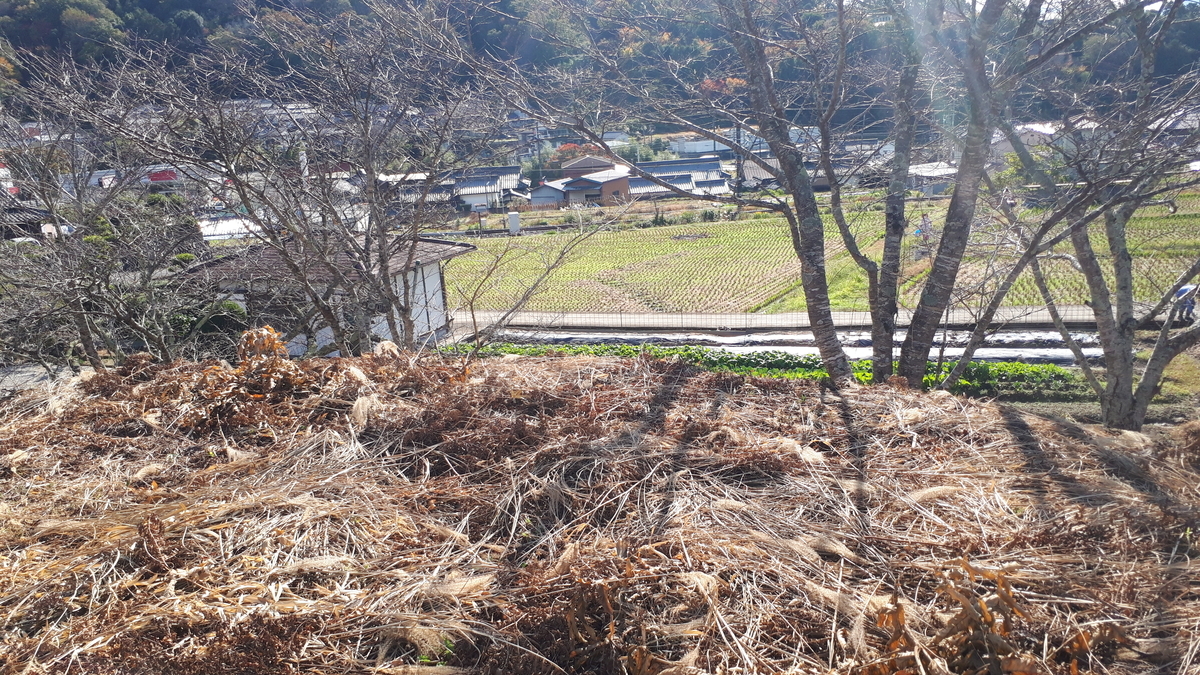 f:id:OSAKA-TOM:20201115113940j:plain f:id:OSAKA-TOM:20201115113940j:plain