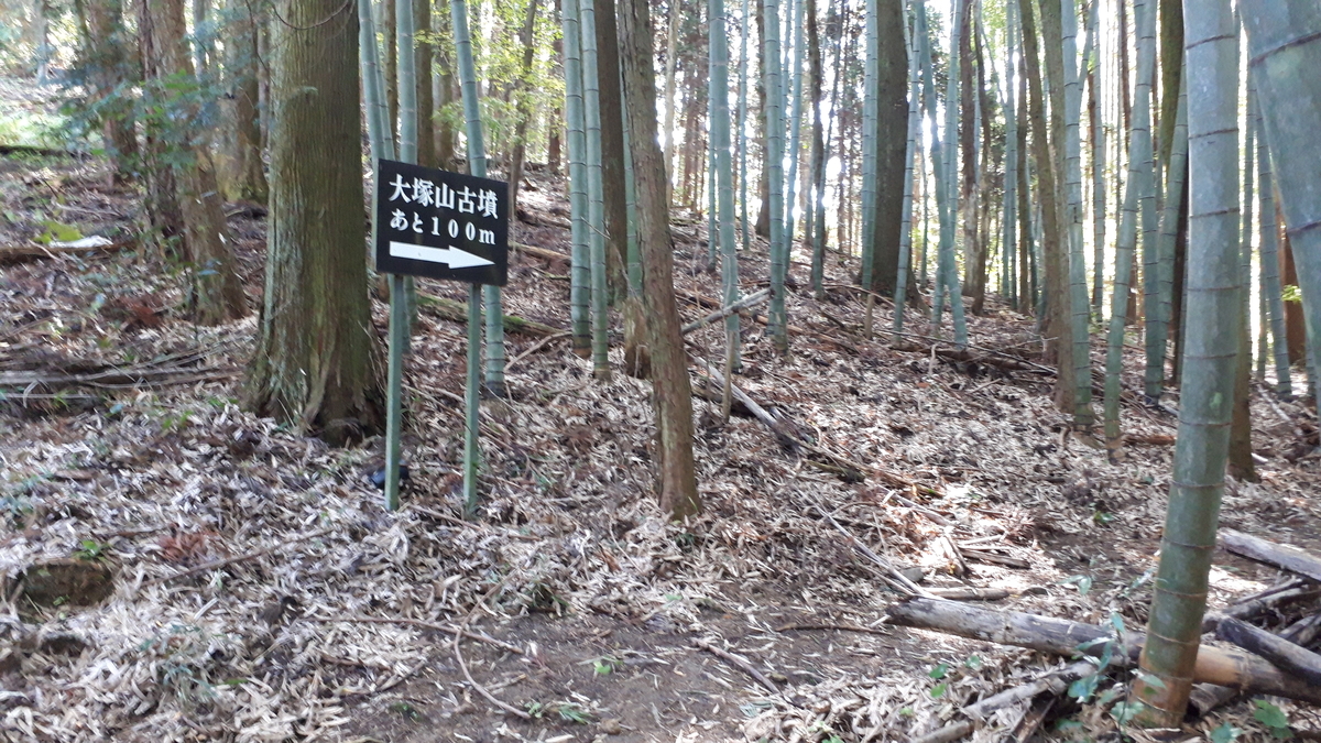f:id:OSAKA-TOM:20201115135525j:plain f:id:OSAKA-TOM:20201115135525j:plain