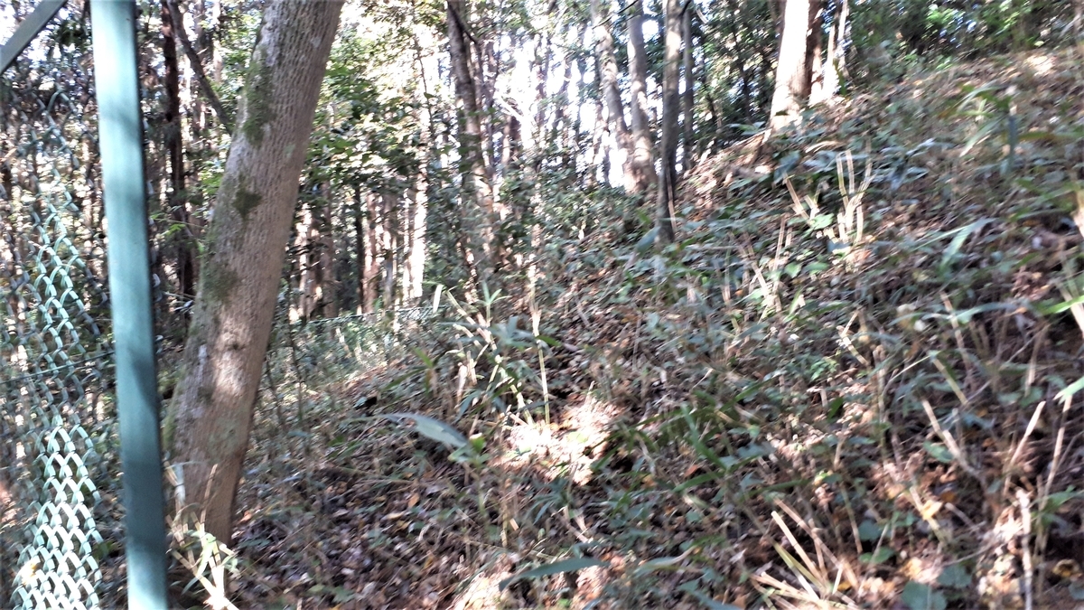 f:id:OSAKA-TOM:20201115144019j:plain f:id:OSAKA-TOM:20201115144019j:plain