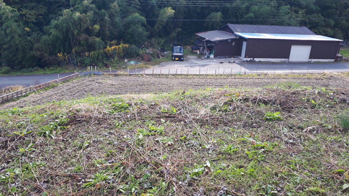 f:id:OSAKA-TOM:20201115161546j:plain f:id:OSAKA-TOM:20201115161546j:plain