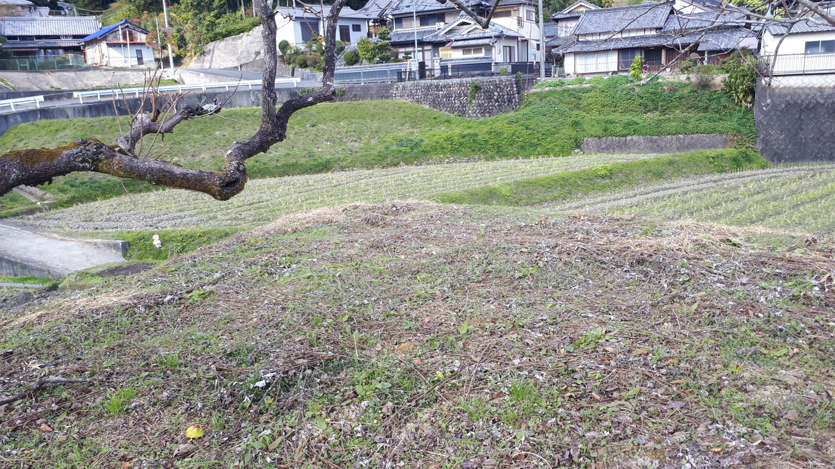 f:id:OSAKA-TOM:20201115162020j:plain f:id:OSAKA-TOM:20201115162020j:plain