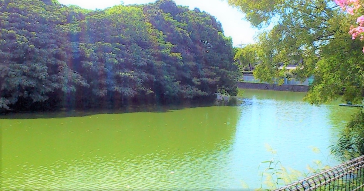 f:id:OSAKA-TOM:20210923130800j:plain