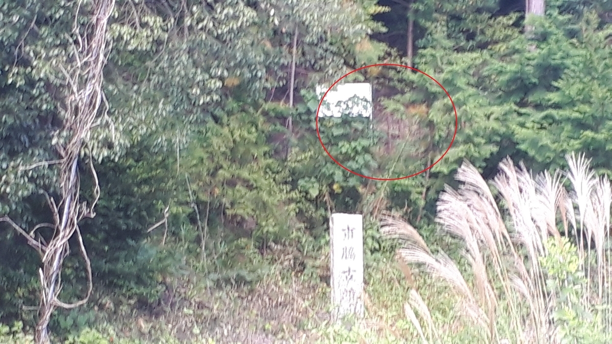f:id:OSAKA-TOM:20211103102113j:plain