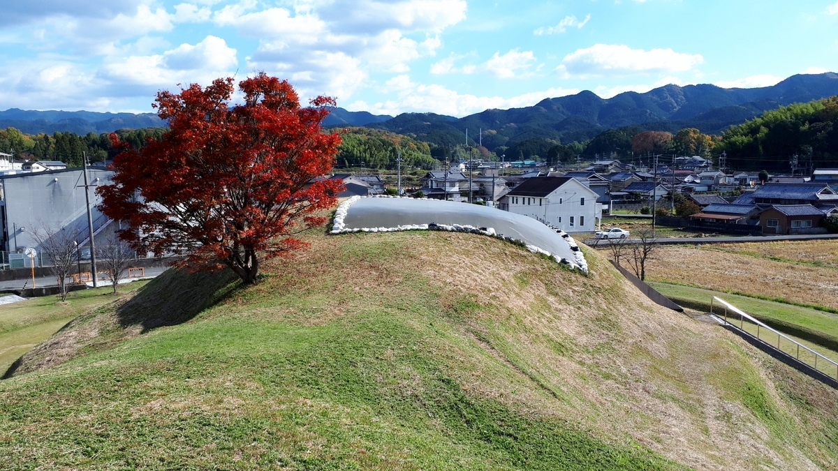f:id:OSAKA-TOM:20220129085146j:plain