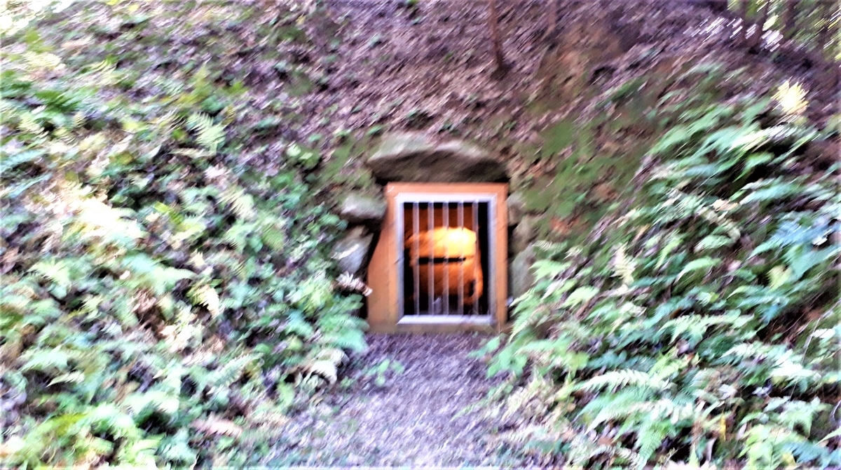 f:id:OSAKA-TOM:20220129091345j:plain