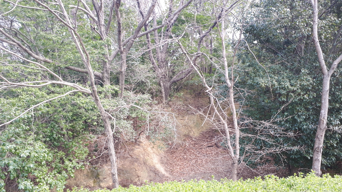 f:id:OSAKA-TOM:20220312100423j:plain