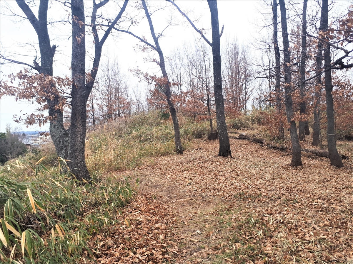 杉山古墳 OSAKATOM’s diary