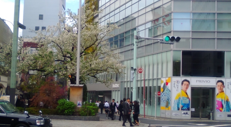 f:id:OSAMUNAKAO:20160512144717j:image:w600