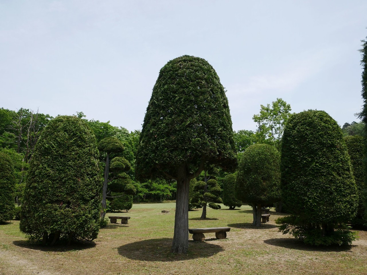 f:id:OSATO:20200606160941j:plain f:id:OSATO:20200606160941j:plain