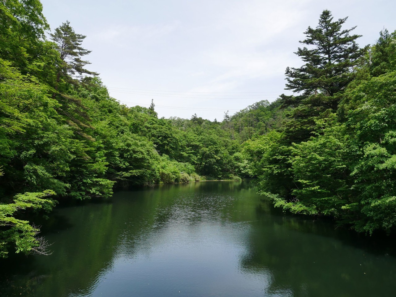 f:id:OSATO:20200606162251j:plain f:id:OSATO:20200606162251j:plain