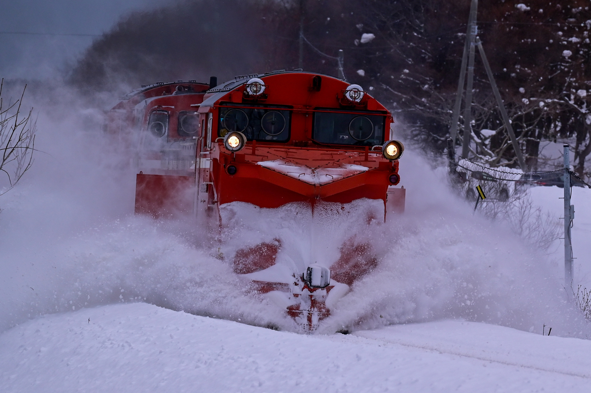 谷雪さん　‼️‼️谷雪さん様以外購入不可‼️‼️ 雪の大谷」への行き方や服装は？立山黒部の「雪の壁」が大迫力＜富山